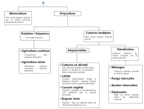 Classification des différentes séquences culturales possibles : monoculture, polyculture, cultures multiples, cultures en dérobé.
