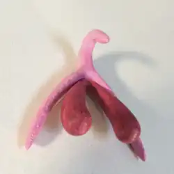 Objet rose en forme de clitoris obtenu avec une imprimante 3D