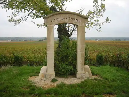 Clos des Ormes (un morey-saint-denis premier cru).