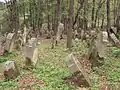 Le cimetière juif de Lesko