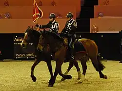 Dans une carrière intérieure de gala, deux policiers en uniforme se déplacent au trot sur leur monture, l'un des policiers tenant un drapeau à la main.