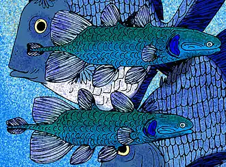 Description de cette image, également commentée ci-après