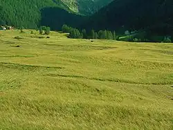 Les prés de Saint-Ours en été.