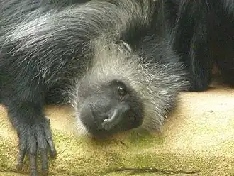 Description de cette image, également commentée ci-après