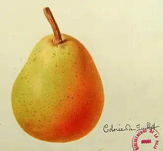 Description de cette image, également commentée ci-après