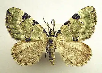 Description de cette image, également commentée ci-après