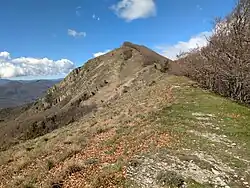 Le sommet de Puig de Coma Negra. La commune de Lamanère se trouve à droite de la crête. Les affleurements rocheux proéminents à gauche du sommet sont des marnes éocènes.