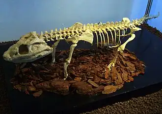 Description de cette image, également commentée ci-après