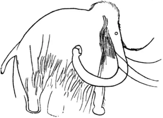 Mammouth gravé de la grotte des Combarelles