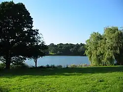 Photographie couleur d'une prarie arborée donnant sur un lac.