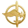 Insigne de béret des commandos parachutistes de l’air.