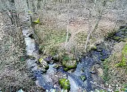 confluence du Cerf de Garde et du Poirier