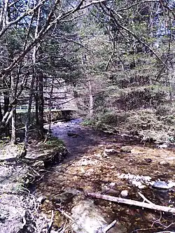 Confluence du Furon et du Bruyant.