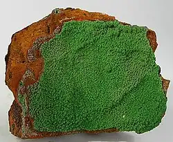 Image illustrative de l’article Conichalcite