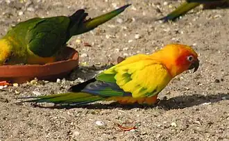 Description de cette image, également commentée ci-après