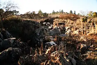 Image illustrative de l’article Grotte de Cooper