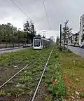 Plateforme herbeuse avec coquelicots le long du cimetière parisien d'Ivry.