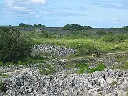 Paysage lunaire formé de pitons calcaires à la suite de l'extraction du phosphate.