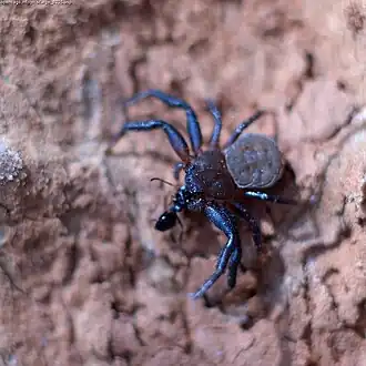 Description de cette image, également commentée ci-après