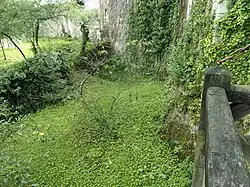 Photographie en couleurs d'un ancien fossé tapissé de végétation.