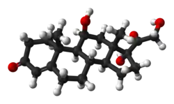 Image illustrative de l’article Cortisol