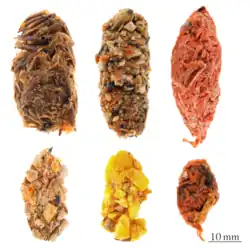 Six pelotes de réjection de forme ovale, globalement identiques, mais constituées d'éléments assez différents.