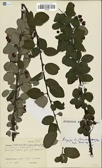 Description de cette image, également commentée ci-après