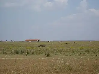 Image illustrative de l’article Crau