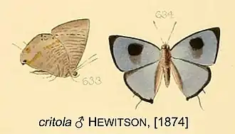 Description de cette image, également commentée ci-après