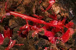 Image illustrative de l’article Crocoïte