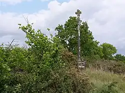 Photographie de la croix dans son environnement.