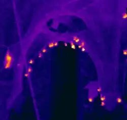Thermographie de la crypte.