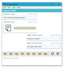 Description de l'image Cryptocat 3.1.24 on Windows 10.png.