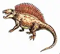 Dessin de Ctenospondylus