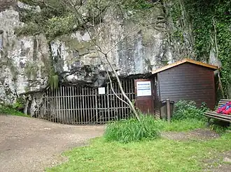 Image illustrative de l’article Grotte d'El Pindal