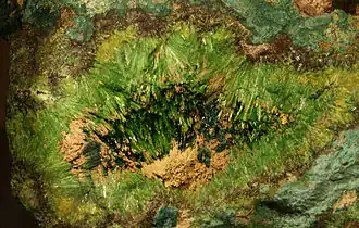 Image illustrative de l’article Cuprosklodowskite