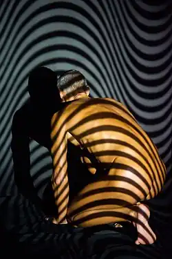 Lignes courbes, 2017