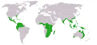 Description de l'image Cycads world distribution.png.
