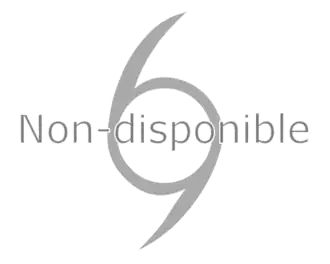 Image illustrative de l’article Cyclone Jenny