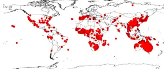 Description de l'image Cyperus difformisDistW.png.