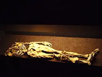 Homme de Dätgen, Allemagne.