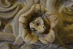 Photographie montrant des détails décoratifs, notamment une fleur à cinq pétales, d'un panneau sculpté en marbre blanc de la paroi du mihrab.