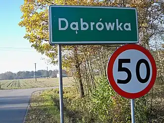 Dąbrówka (Poddębice)
