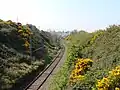 Ligne du DART à Bray, Comté de Wicklow
