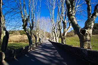 L'allée du château.