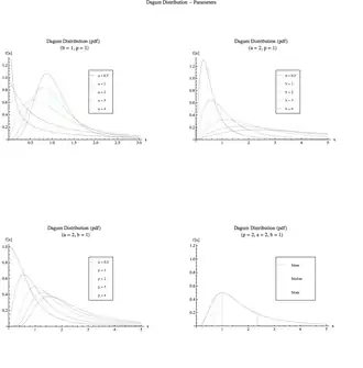 Image illustrative de l’article Loi de Dagum