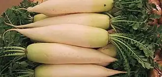 Description de l'image Daikon.Japan.jpg.