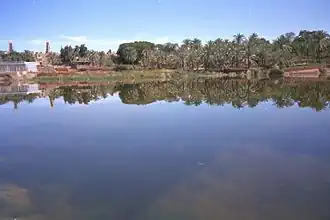 Oasis de Dakhla