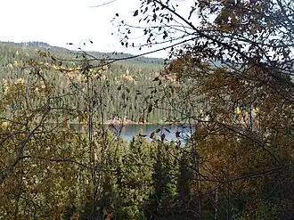 Image illustrative de l’article Damtjern