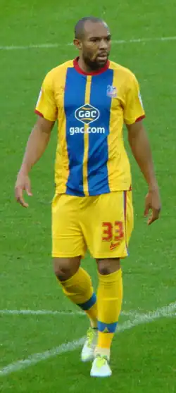 Image illustrative de l’article Danny Gabbidon